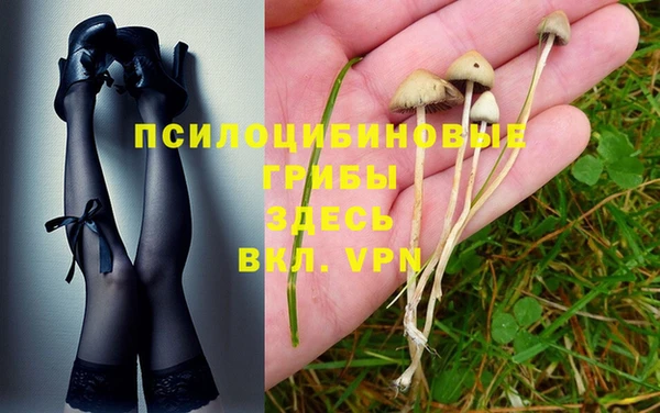 mix Абинск