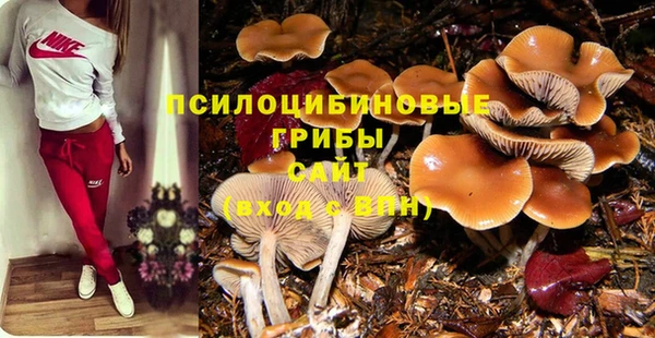 прущие крисы Абаза