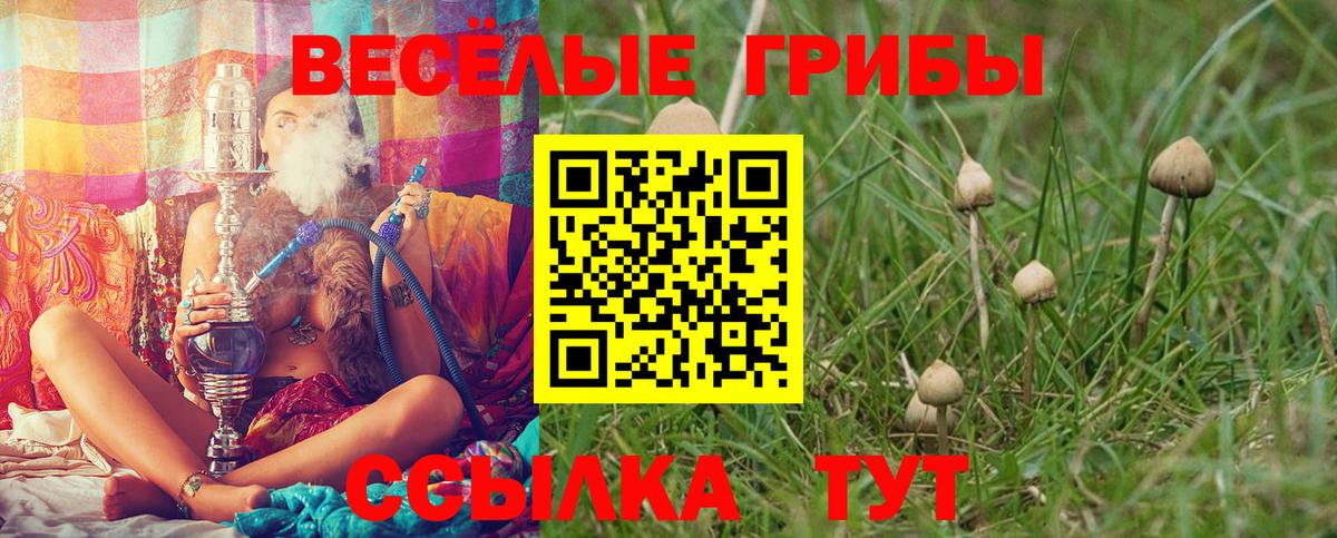 Конопля  Новоуральск  Наркошоп  КОКАИН  MDMA  Вход с VPN  Меф МЯУ МЯУ кристаллы  ГАШ 
