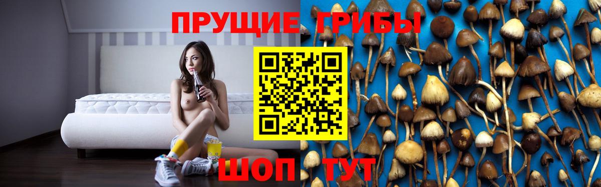 магазин  наркотиков  Псилоцибиновые грибы ЛСД  Вход с VPN  Новоуральск 